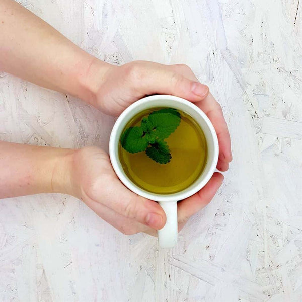 Someone holding a cup of herbal tea