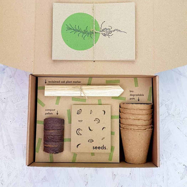 An opened box showing the contents for the herb garden