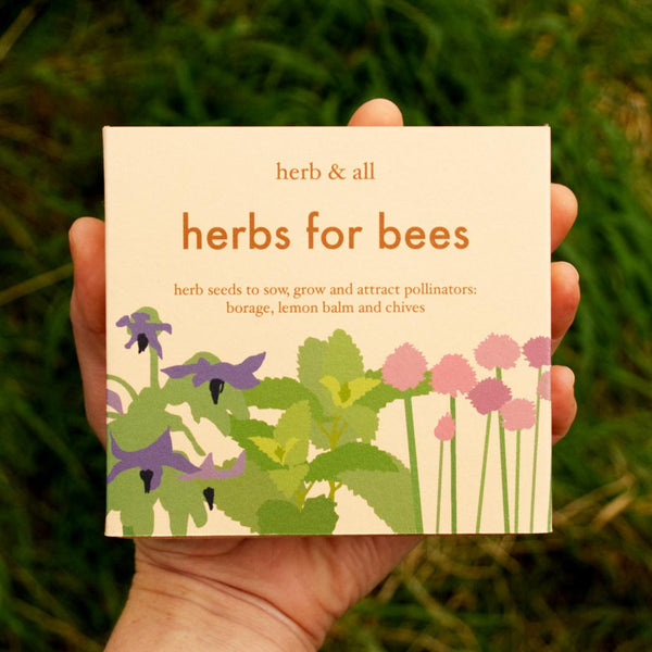 Herbs for bees seed box