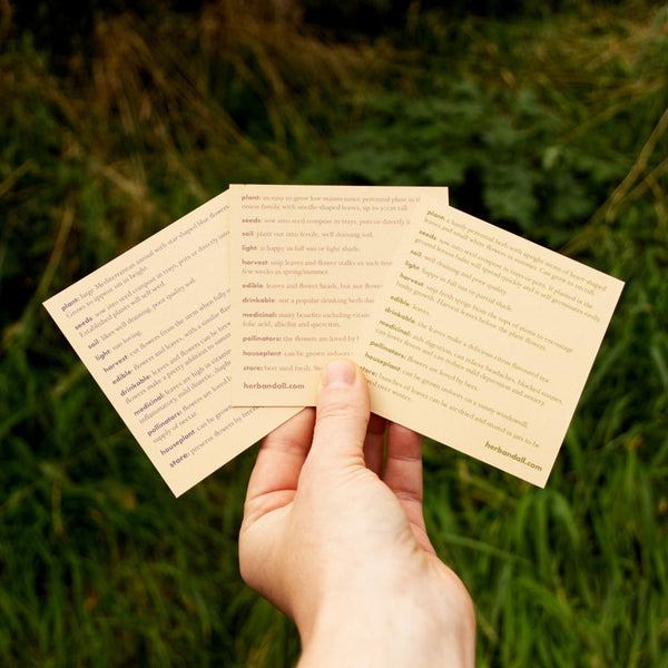 Herbs for bees seed box