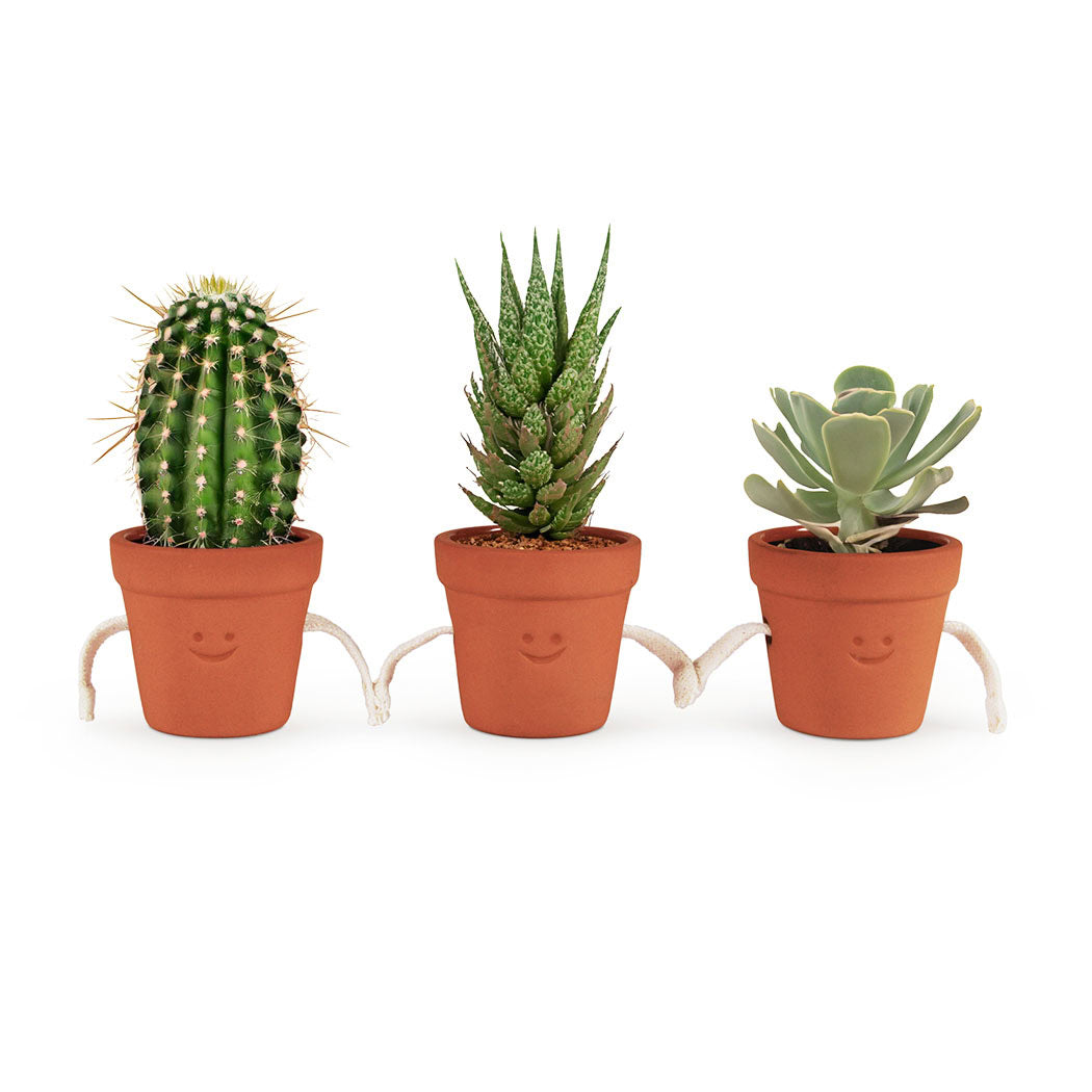 Three terracotta plant pots with smiling faces and rope hands, on a white background