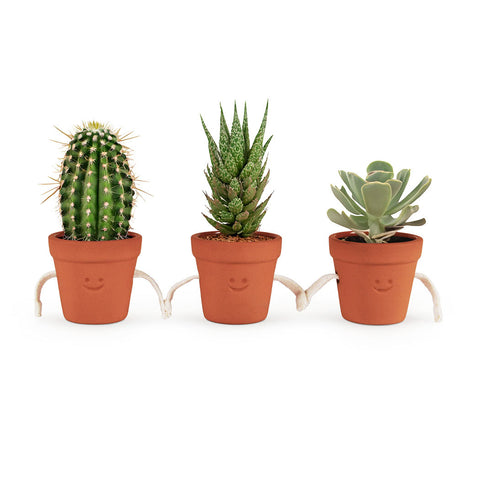 Three terracotta plant pots with smiling faces and rope hands, on a white background