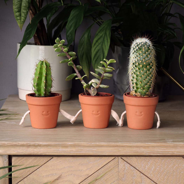 Three hand holding succulent pots with smiling faces on a wooden surface, surrounded by other plants.