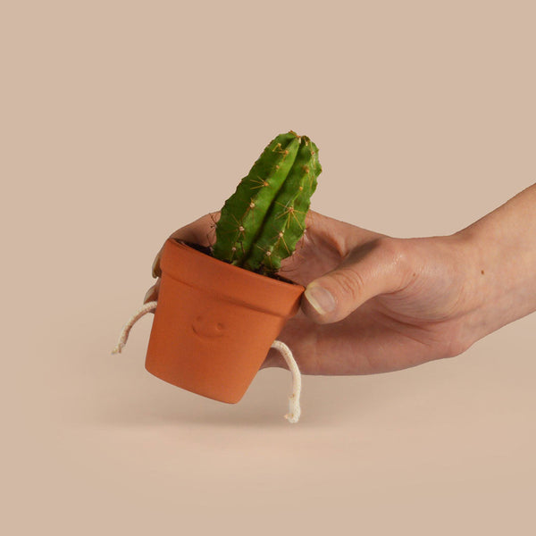 A hand holding a small potted cactus against a beige background