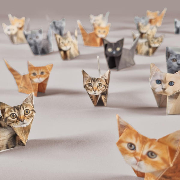 Origami cats of various breeds arranged on a flat grey surface