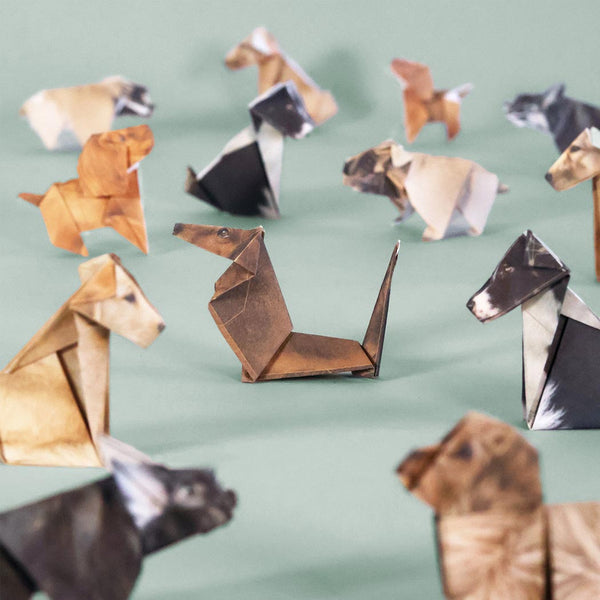 Collection of origami dogs on a light green background