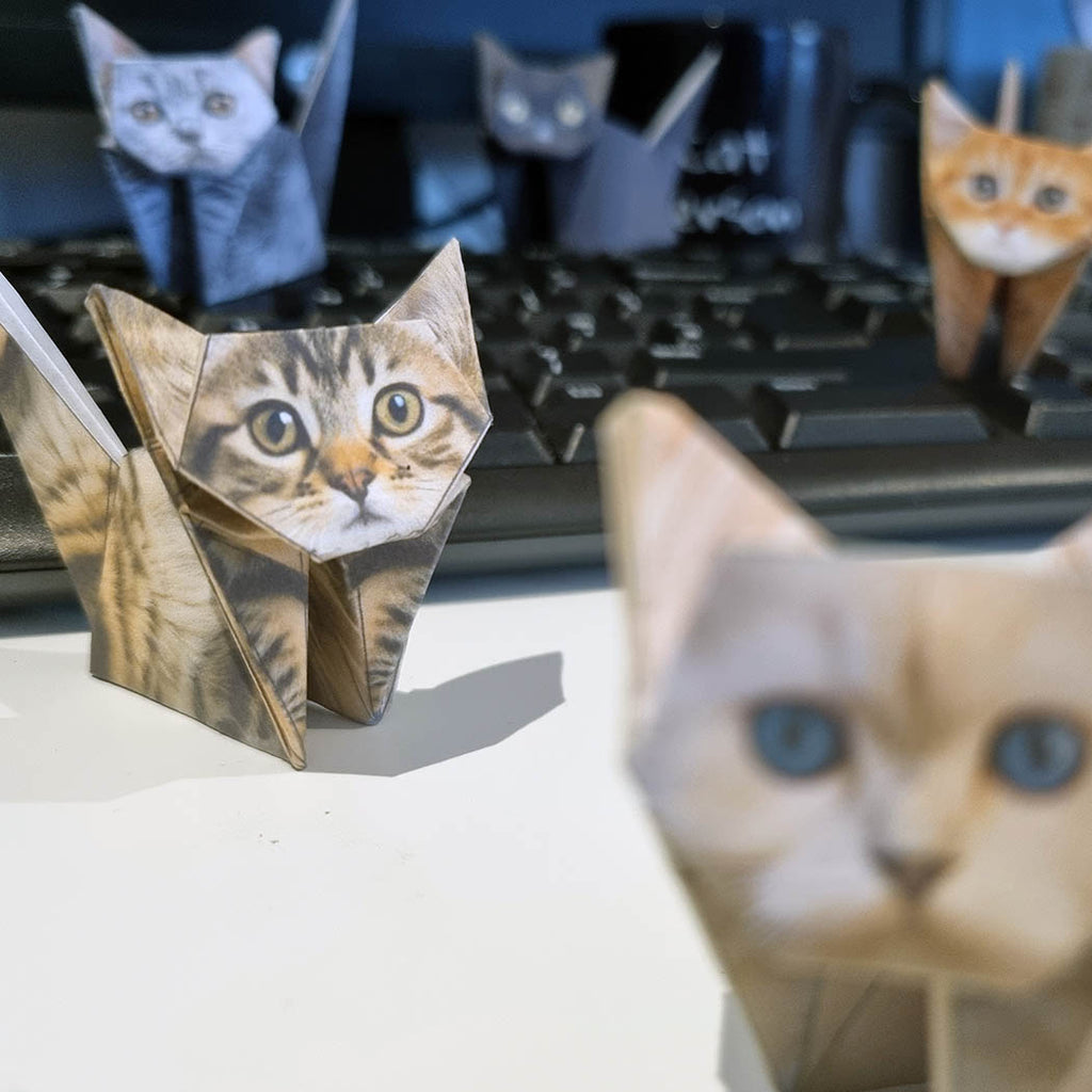 Computer Set Origami Paper Cats Origami Set | Great Gift For Cat Lovers