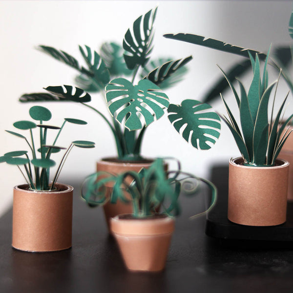 Collection of paper plants on a black shelf with a neutral background