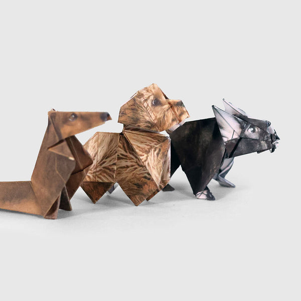 Three paper pups on a light grey background