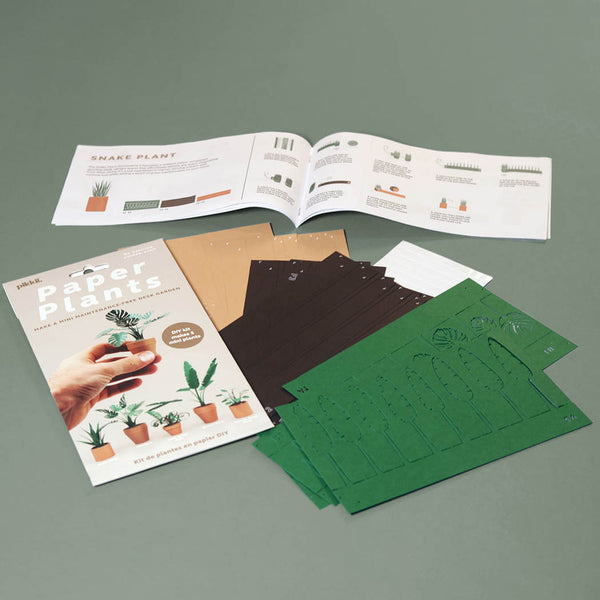 Paper plants kit showing the packaging, instructions, and pre-cut papers, on a green background