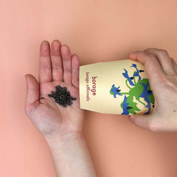 Herbs for bees seed box