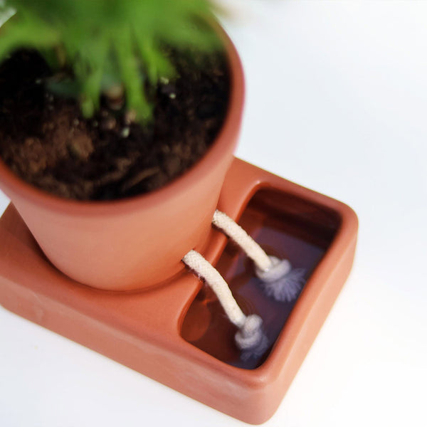 Self care planter with a plant inside, on a matching water tank.