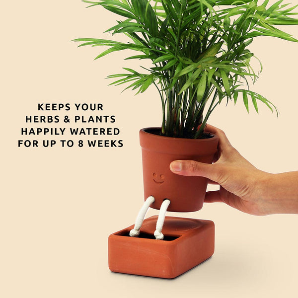 Hand holding a ceramic potted plant with the words "Keeps your herbs and plants watered for upto 8 weeks"