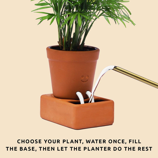 Terracotta planter with smiley face design, showing water being poured into the tank, on a beige background.
