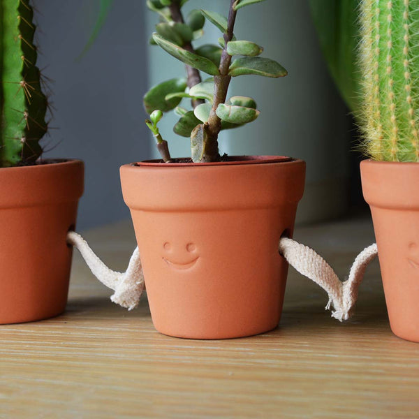 A terracotta pot with a smiley face, next to two other potted plants on a wooden surface.