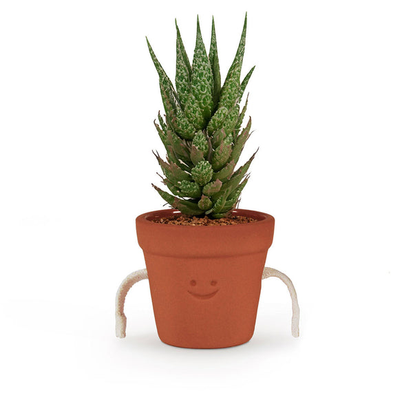 Plant pot with a smiling face on a white background
