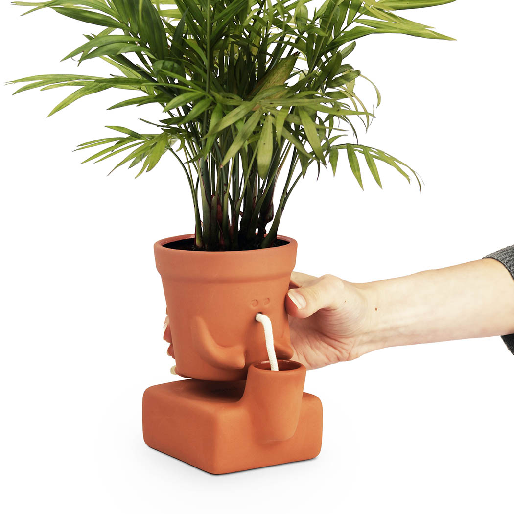 Person holding a thirsty planter on a white background