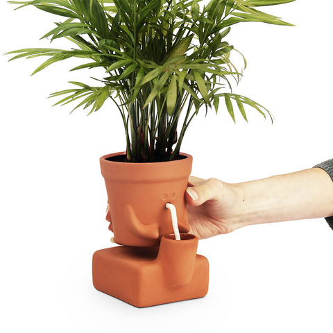 Person holding a thirsty planter on a white background