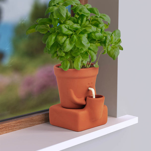 Terracotta plant pot with a small water reservoir on a windowsill