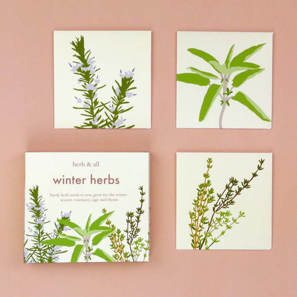 The contents inside a Winter herbs seed box