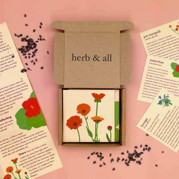 An opened seed box showing the contents inside